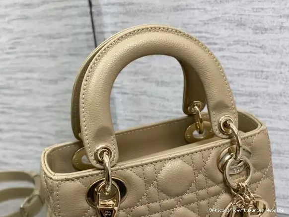 Tony Luxuries diro Lady Small Calfskin-20-16.5-8CM 0504
